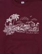 VENICE BEACH Sunset Distressed Unisex Kids Crewneck Sweatshirt image number 2