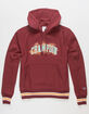 CHAMPION Reverse Weave Mens Hoodie image number 1