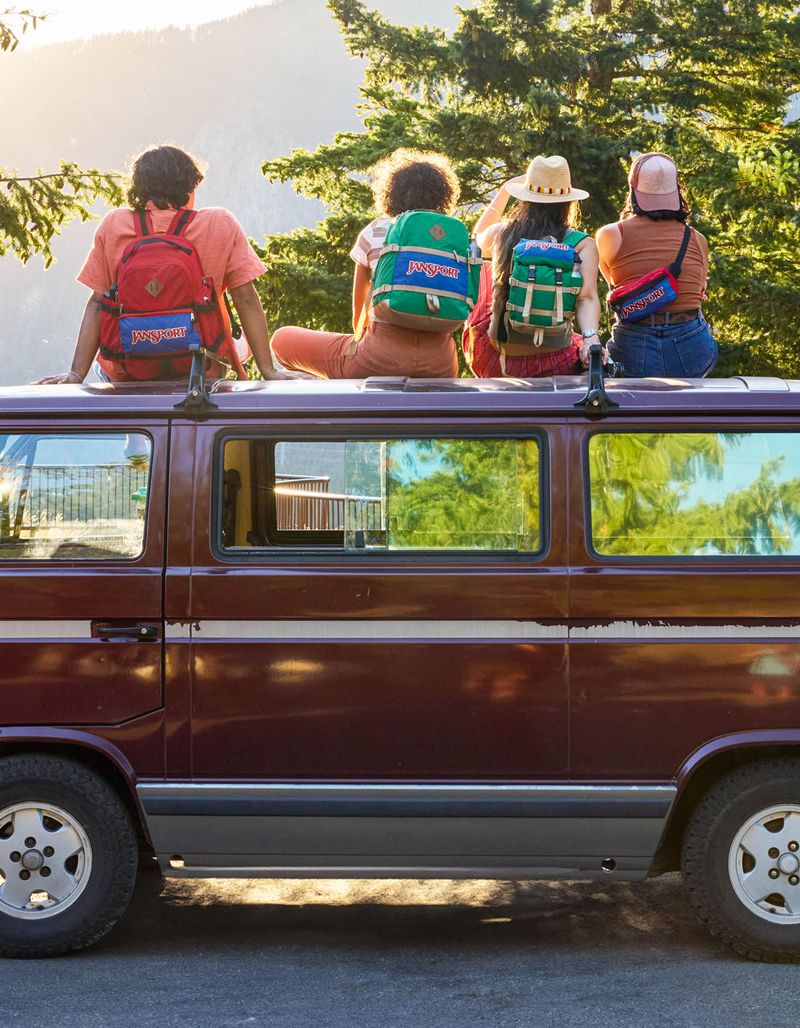 JANSPORT Mini Skip Pack Backpack image number 10