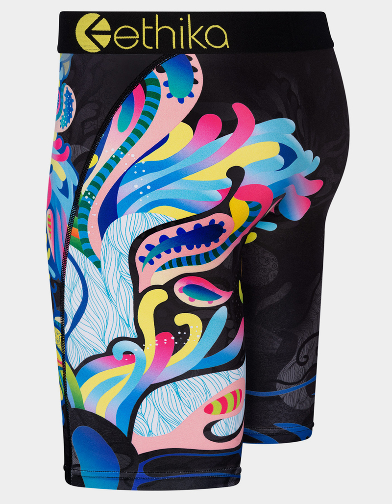 ETHIKA Painted Tiger Staple Mens Boxer Briefs - MULTI