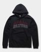 HOLLYWOOD Flames Unisex Hoodie image number 1