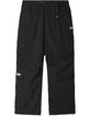 OBEY Rapture Off Mens Cargo Pants image number 1