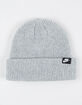 NIKE Terra Futura365 Short-Cuff Beanie image number 1