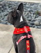 BEAST & BUCKLE Pizza Reversible Dog Harness image number 4