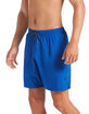 NIKE Solid Mens Royal Boardshorts image number 4