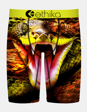 ETHIKA Bite Back Staple Boys Boxer Briefs Primary Image