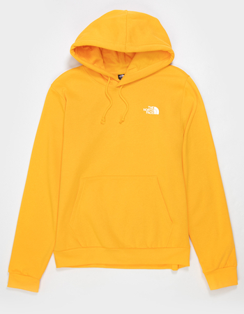 THE NORTH FACE Evolution Box NSE Mens Hoodie Alternative Image