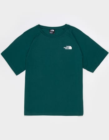 THE NORTH FACE North Faces Mens Tee Alternative Image