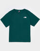 THE NORTH FACE North Faces Mens Tee image number 2