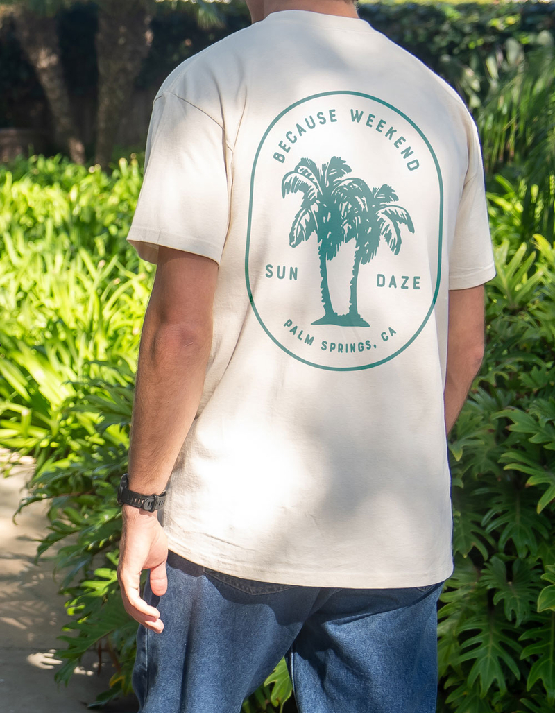 BECAUSE WEEKEND Sun Daze Mens Tee image number 3