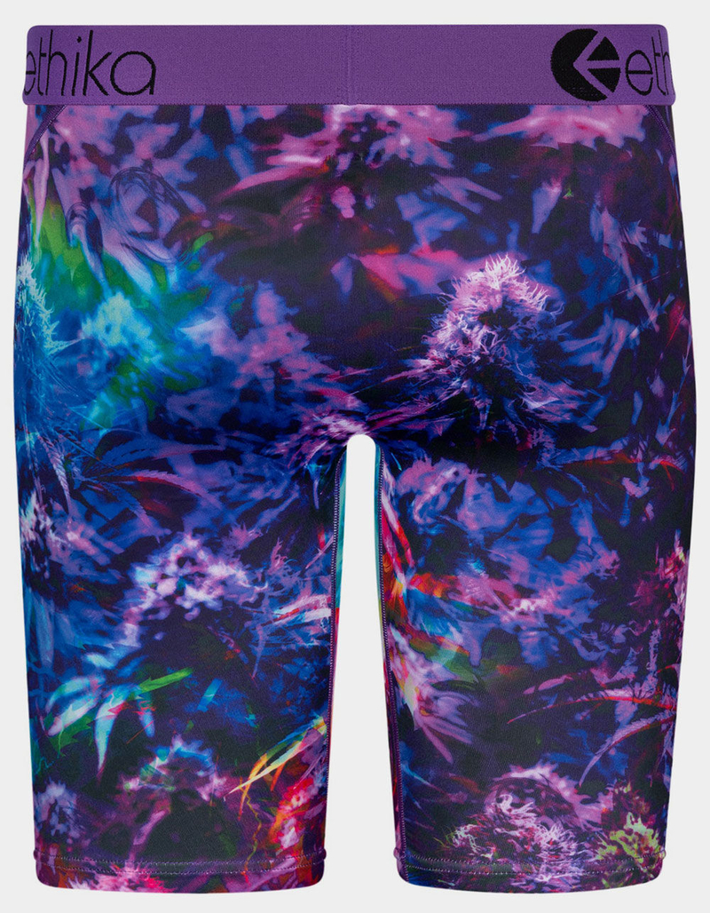 ETHIKA Big Haze Staple Mens Boxer Briefs image number 2