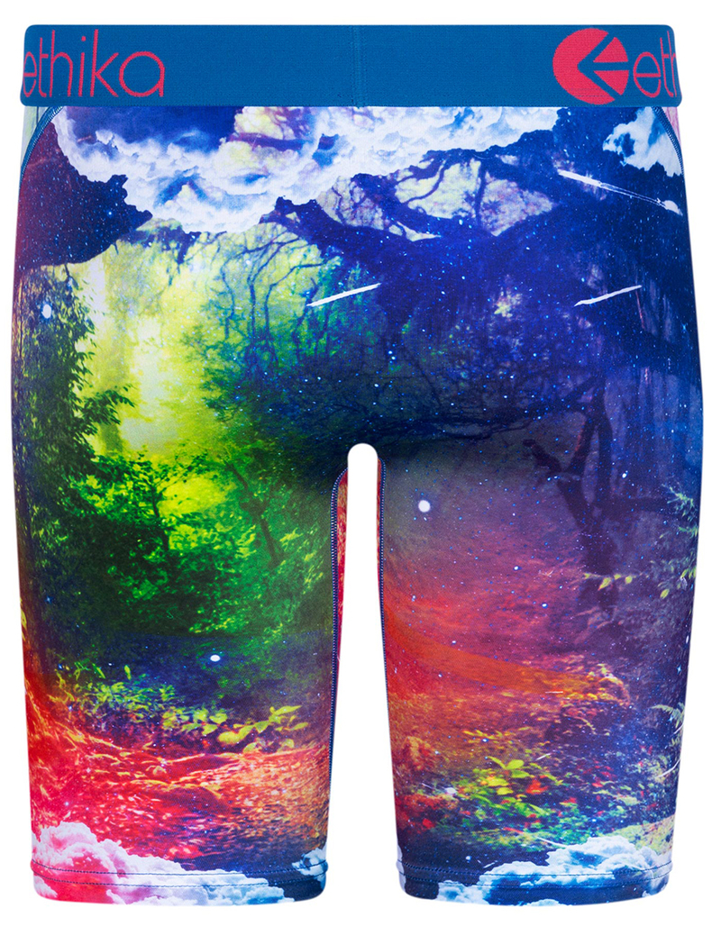 ETHIKA Jungle Dreams Staple Mens Boxer Briefs image number 2