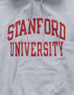 CHAMPION Stanford Mens Hoodie image number 2