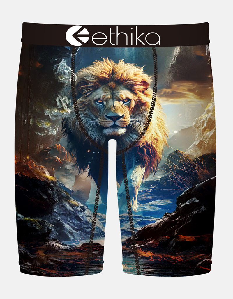 ETHIKA Lion Hearted Staple Boys Boxer Briefs image number 0
