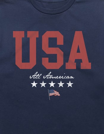 USA All American Unisex Tee Alternative Image