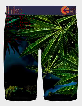 ETHIKA Smoking Killa Staple Mens Boxer Briefs Alternative Image