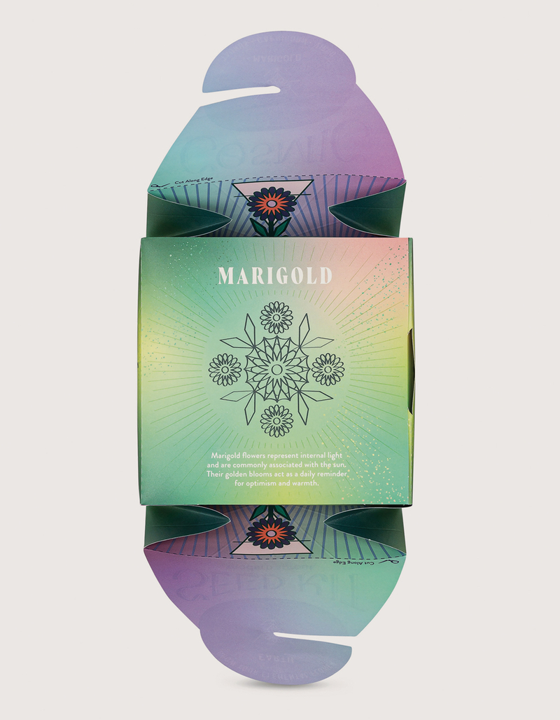 MODERN SPROUT Cosmic Seed Kit - Earth Marigold image number 3