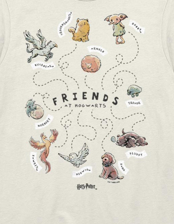 HARRY POTTER Hogwarts Friends Unisex Tee Alternative Image