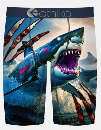 ETHIKA Jaw Dropped Staple Mens Boxer Briefs Primary Image