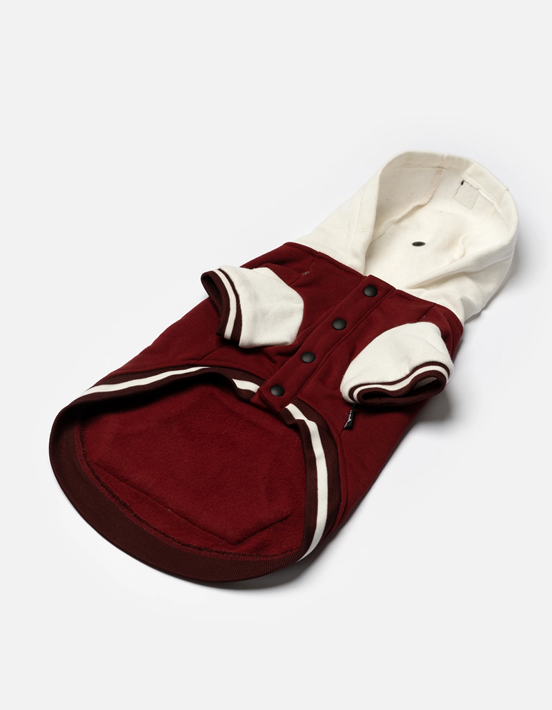 SILVER PAW Otis Dog Letterman Jacket image number 2