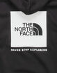 THE NORTH FACE Box NSE Mens Hoodie image number 4