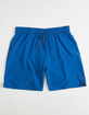 NIKE Solid Mens Royal Boardshorts image number 1