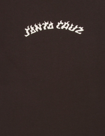 SANTA CRUZ Flame Arc Mens Tee Alternative Image