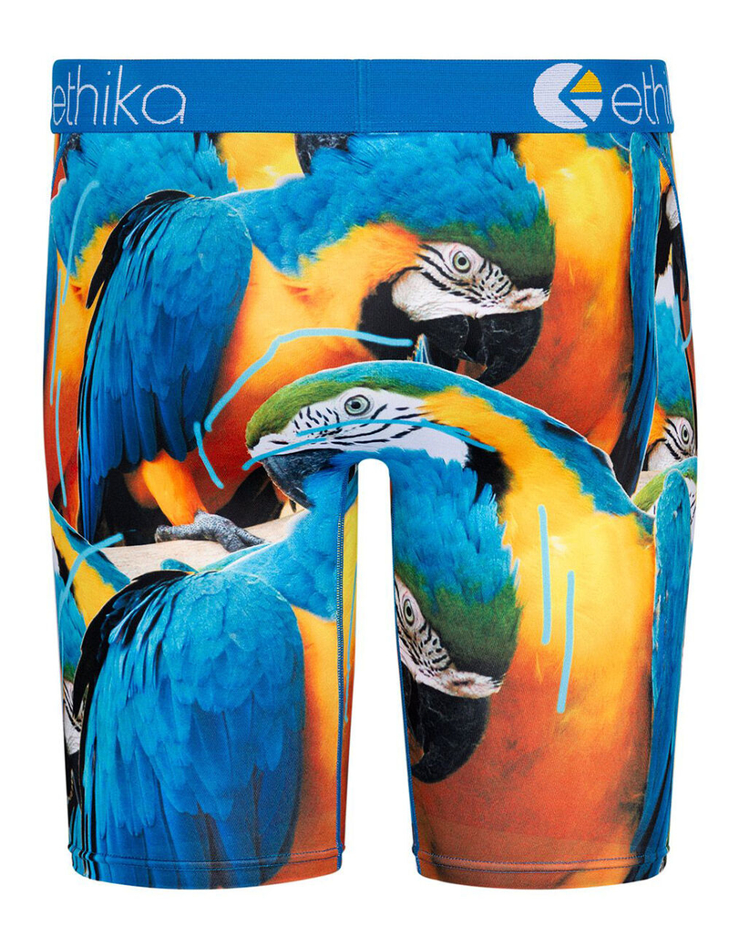 ETHIKA Paranormal Boys Boxer Briefs image number 2