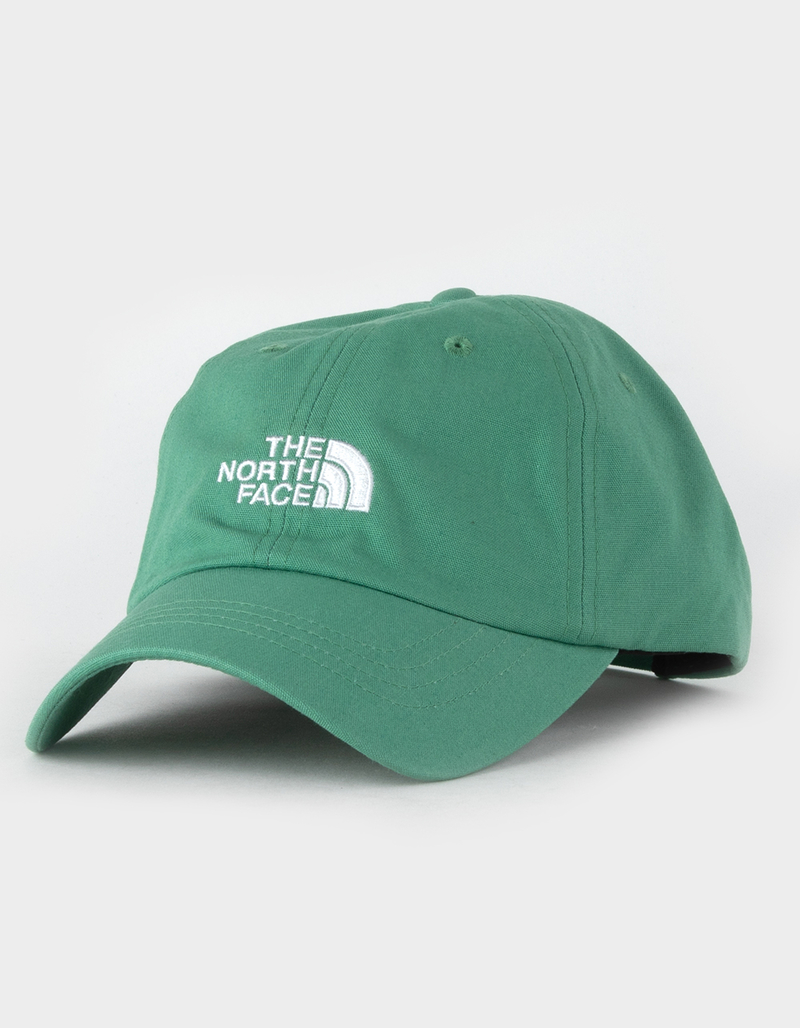 THE NORTH FACE Norm Strapback Hat image number 1