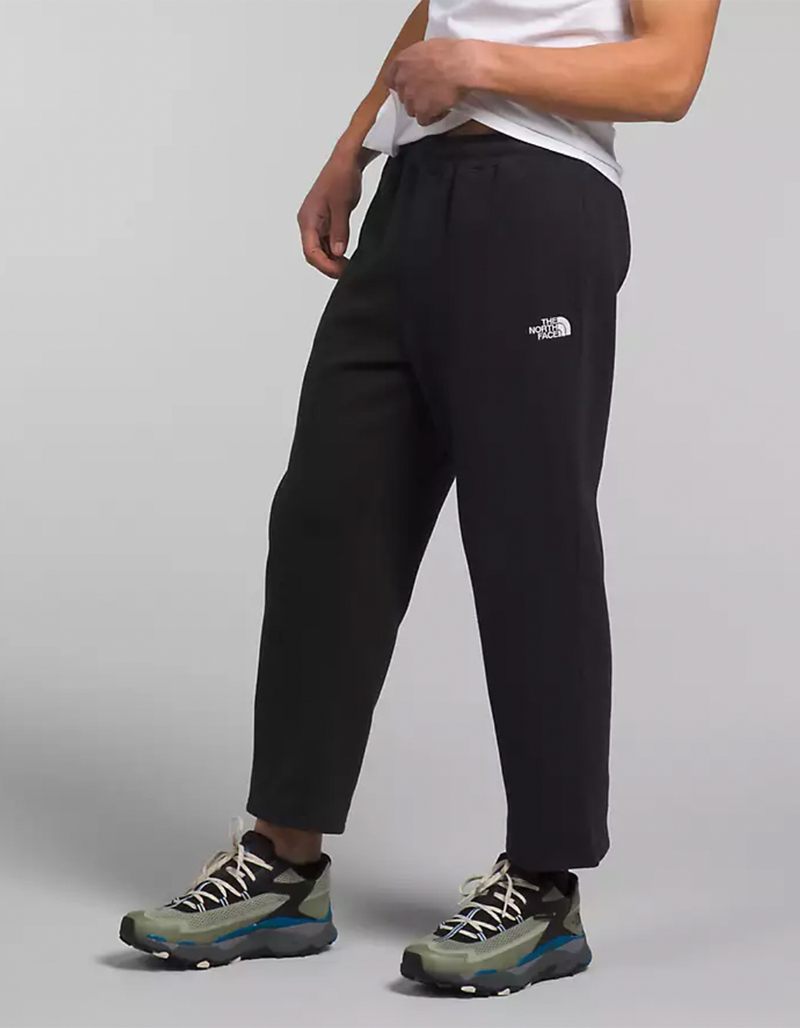 THE NORTH FACE Evolution Straight Leg Mens Sweatpants image number 3