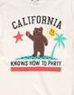 RIOT SOCIETY Cali Party Mens Tee image number 2
