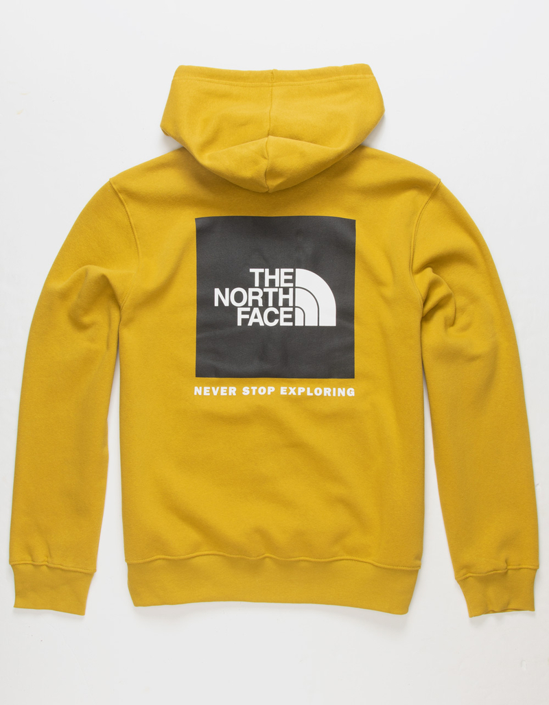 THE NORTH FACE Box NSE Mens Hoodie image number 0