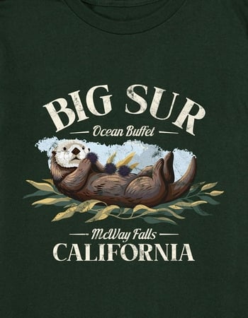 BIG SUR Ocean Buffet Unisex Kids Tee Alternative Image