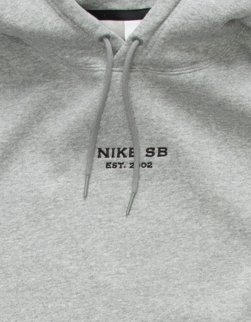 NIKE SB HBR GFX Mens Hoodie image number 3