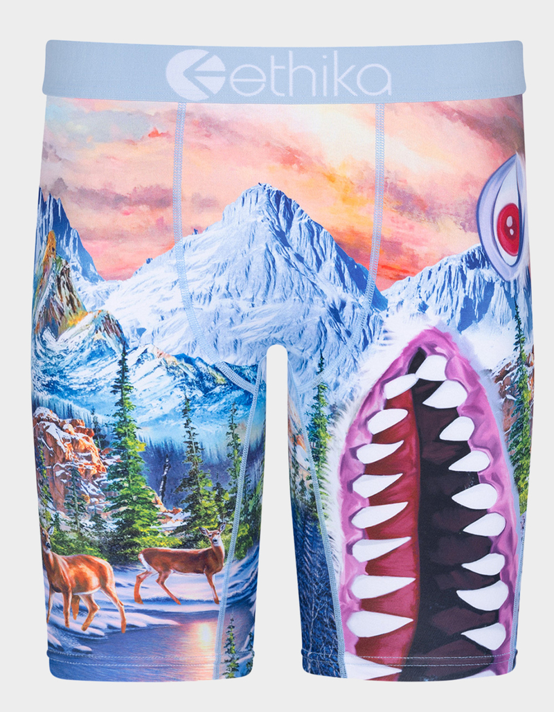 ETHIKA Bomber Abominable Staple Boys Boxer Briefs image number 0