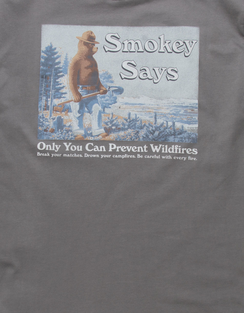 TENTREE Smokey Bear Says Mens Tee image number 2