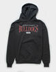 CHAMPION University Of Georgia Mens Hoodie image number 1