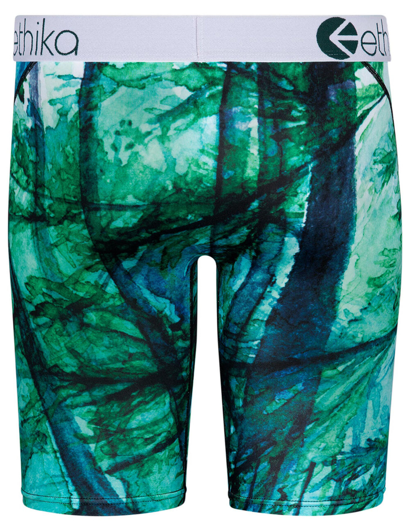 ETHIKA Mother Bear Mens Boxer Briefs image number 2