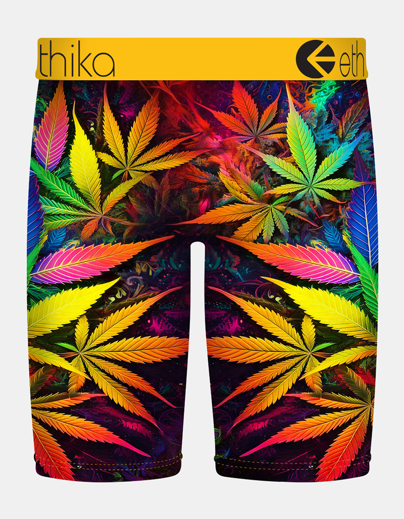 ETHIKA Cotton Mouth Staple Mens Boxer Briefs image number 1