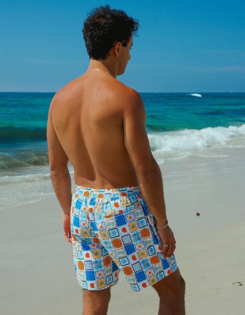 DIPPIN' DAISY'S Ken Mens Swim Shorts image number 3