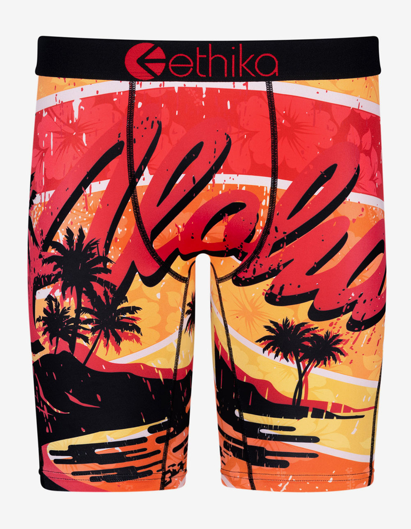 ETHIKA Ohana Forever Staple Boys Boxer Briefs image number 0