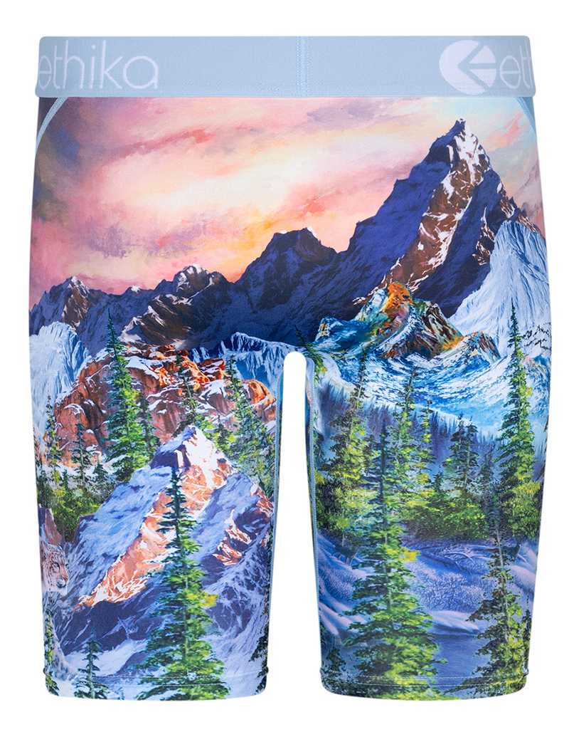 ETHIKA Bomber Abominable Staple Boys Boxer Briefs image number 2