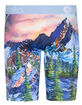 ETHIKA Bomber Abominable Staple Boys Boxer Briefs image number 3