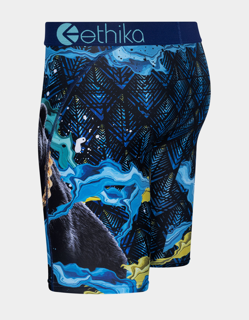 ETHIKA Kingdom Staple Boys Boxer Briefs image number 1