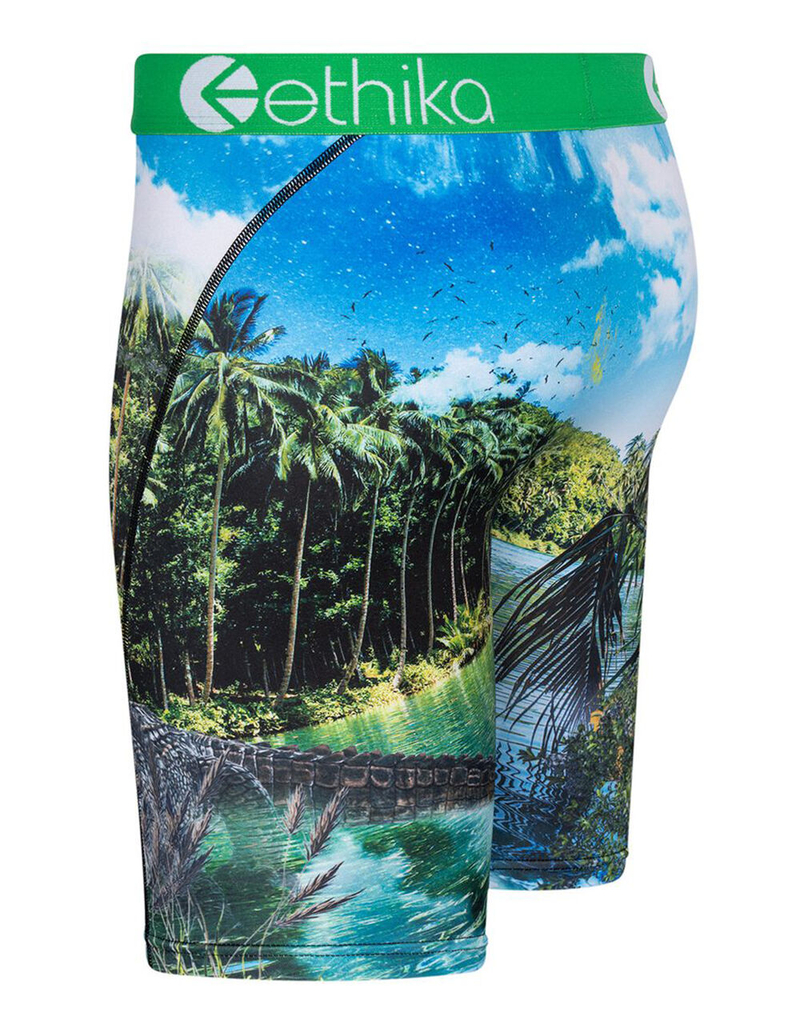 ETHIKA Ethika Dundee Boys Boxer Briefs image number 1