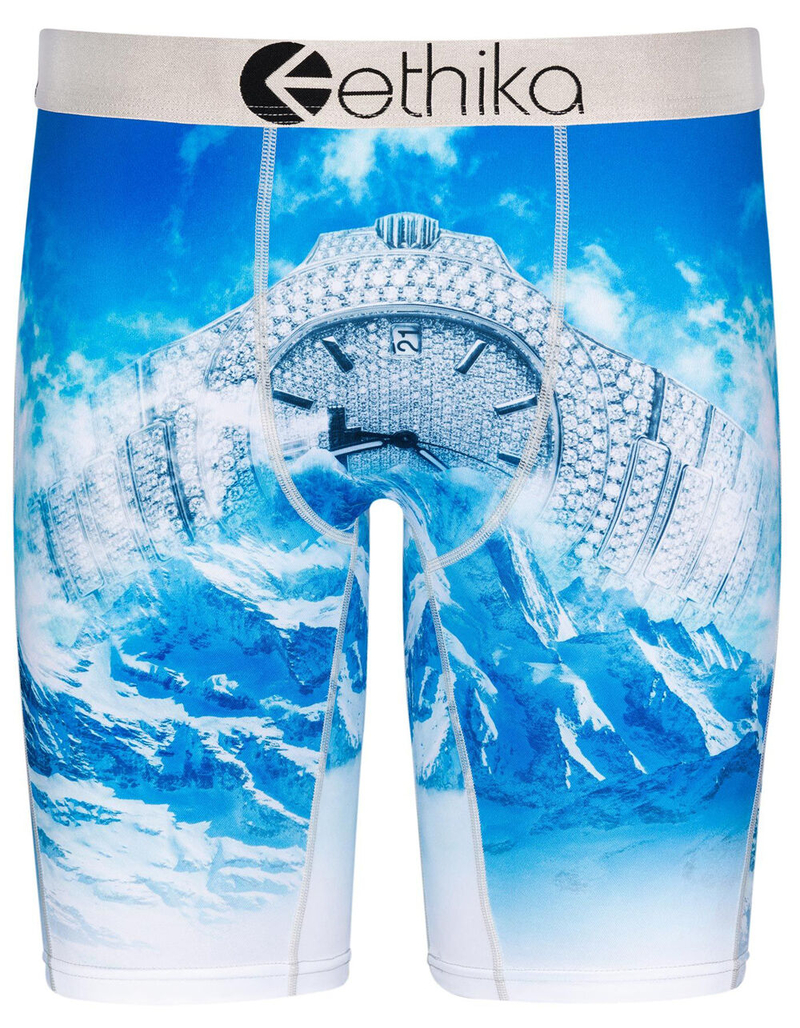 ETHIKA So Icey Mens Boxer Briefs image number 0