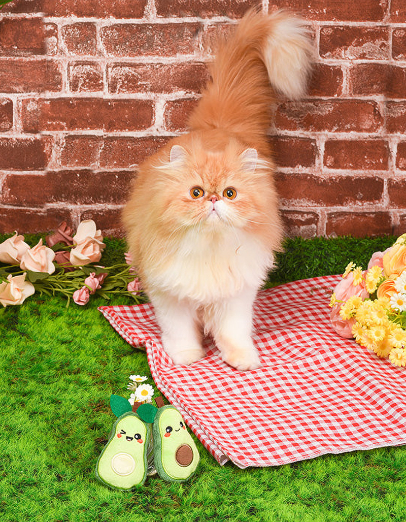 HUGSMART PET Crazy Catcher Avocado Cat Toy 2 Pack image number 2