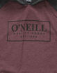 O'NEILL League Boys Lightweight Hoodie image number 2