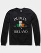 IRELAND Dublin Clover Flag Distressed Unisex Crewneck Sweatshirt image number 1