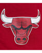 MITCHELL &  NESS Chicago Bulls Team Heritage Mens Shorts image number 4